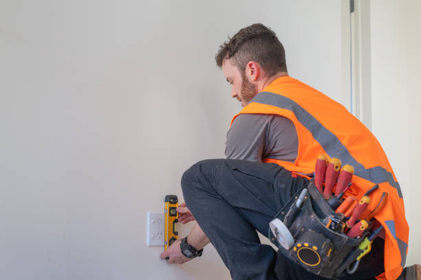Best Residential Electrician Services  in Valrico, FL